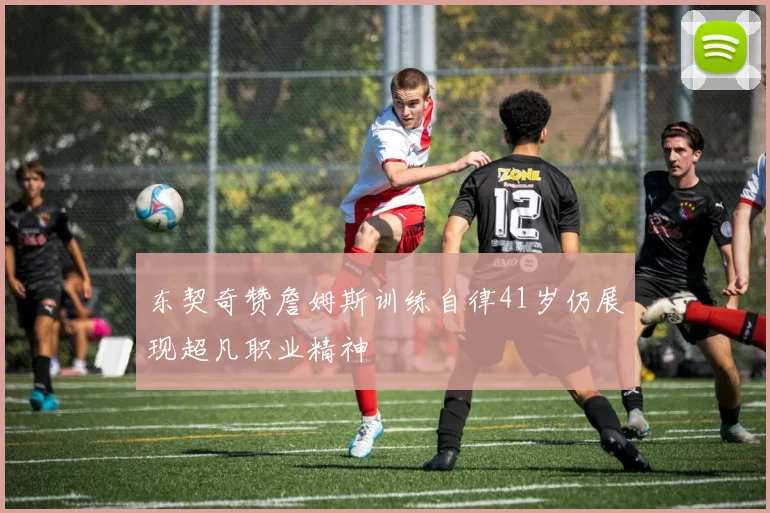 东契奇赞詹姆斯训练自律41岁仍展现超凡职业精神